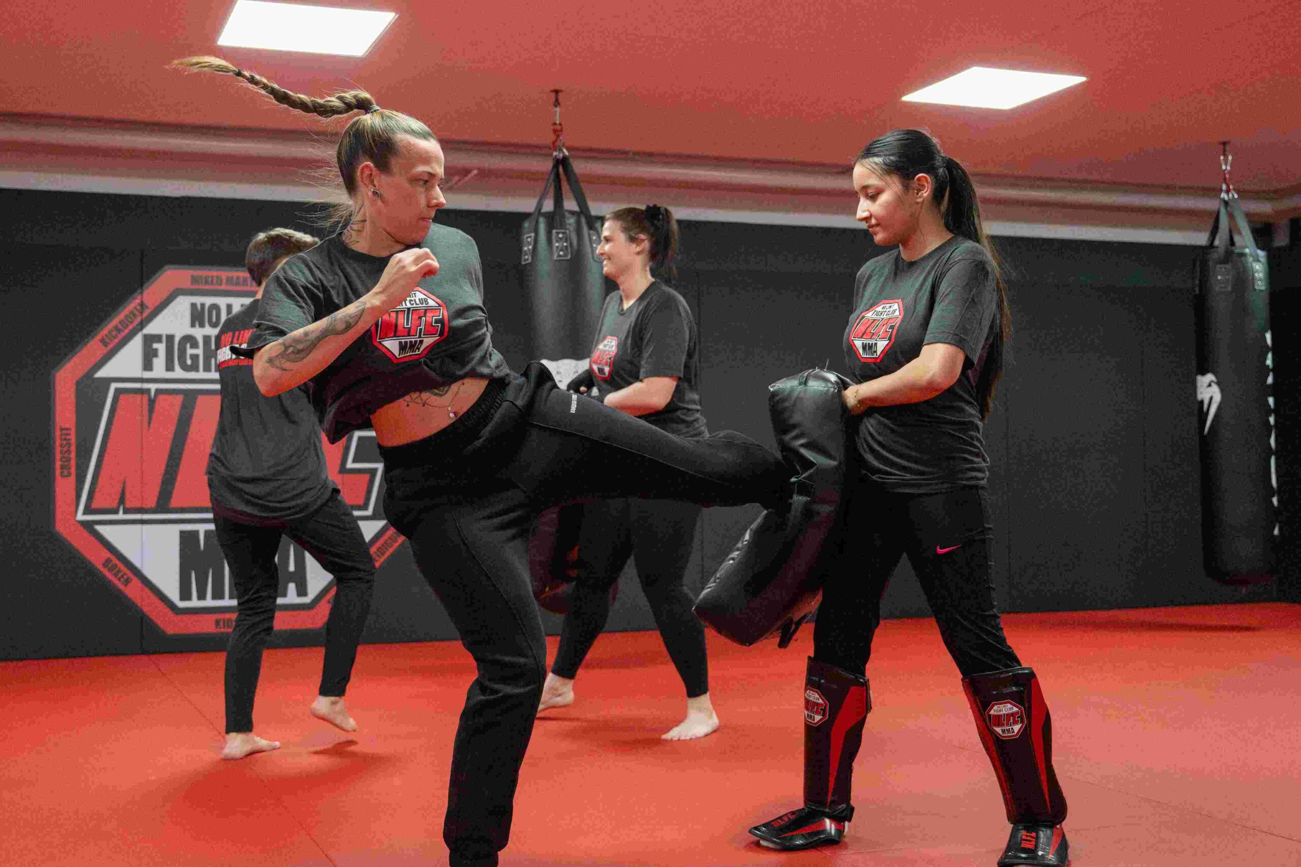 Krav Maga 2 krav maga